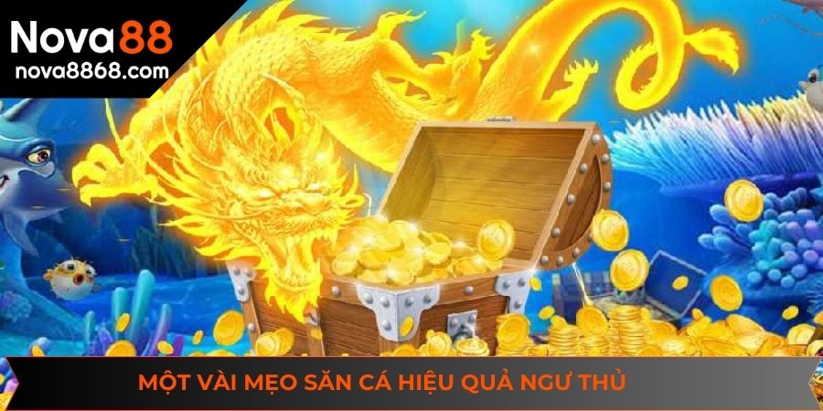 Một vài mẹo săn cá hiệu quả ngư thủ không nên bỏ lỡ