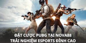 đặt cược pubg tại nova88