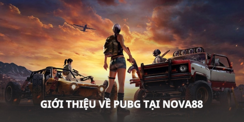 Đôi nét về PUBG tại NOVA88