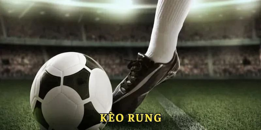 Bạn có thể cược rung với nhiều hình thức khác nhau