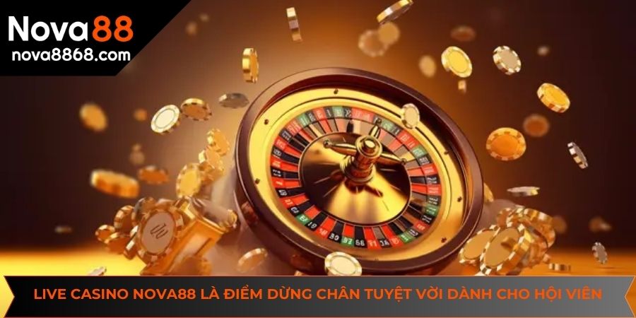 Live casino NOVA88 là điểm dừng chân tuyệt vời dành cho hội viên