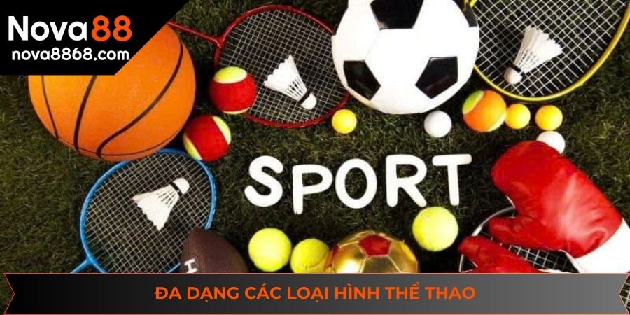 Đa dạng các loại hình thể thao mà anh em có thể tùy chọn