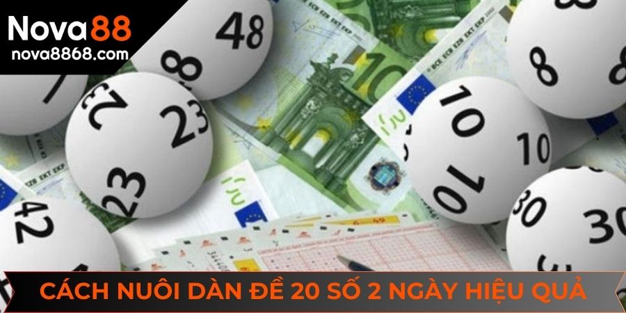 Cách nuôi dàn đề 20 kết quả khung 2 ngày hiệu quả