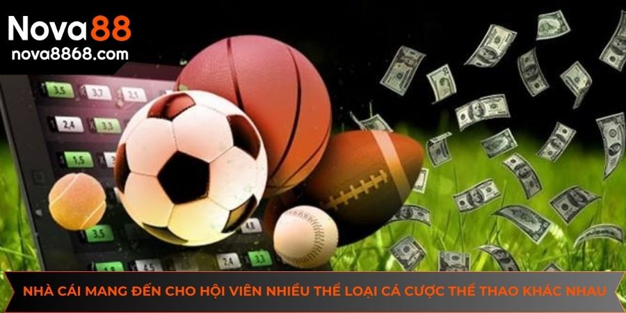 Nhà cái mang đến cho hội viên nhiều thể loại cá cược thể thao NOVA88 khác nhau